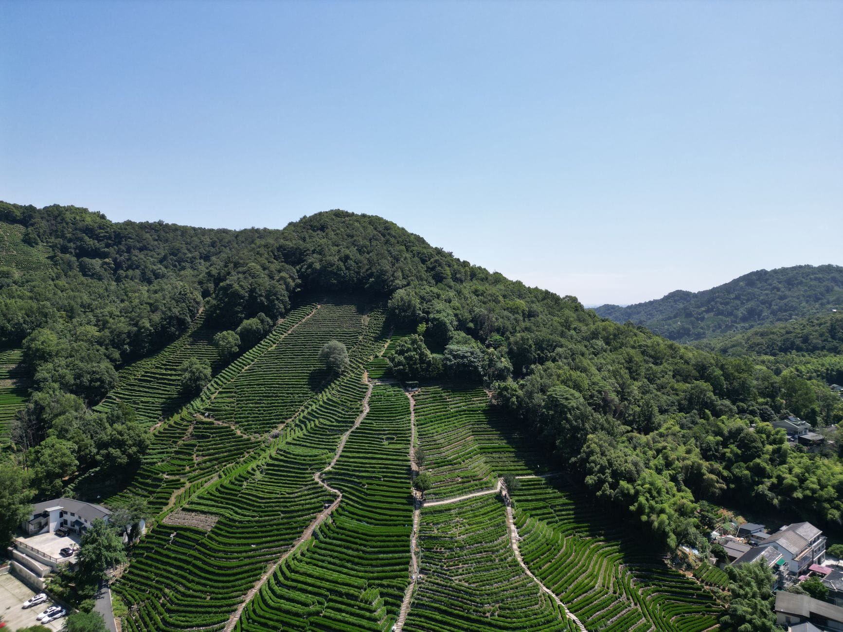 Tarasowe plantacje herbaty Longjing w Hangzhou widziane z lotu ptaka