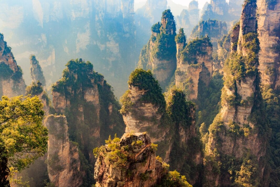Piaskowcowe filary w Parku Narodowym Zhangjiajie w Piaskowcowe filary w Parku Narodowym Zhangjiajie w